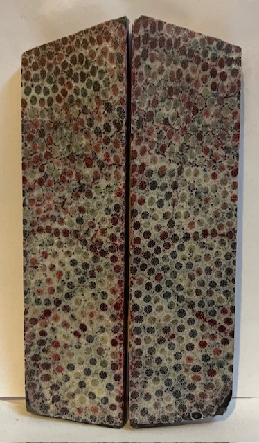 FOSSIL CORAL SCALES               4-11/16 tapers X 1-5/16 X 3/16 