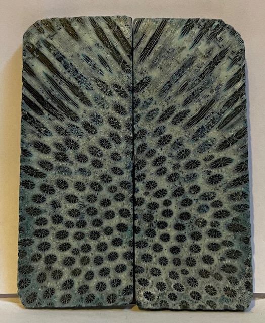 FOSSIL CORAL SCALES               3 X 1-3/16 X 1/8