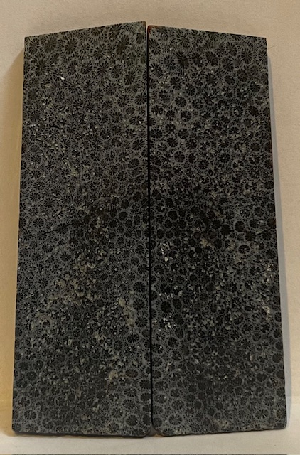 FOSSIL CORAL SCALES          3-3/4 X 1-3/16 X 1/8