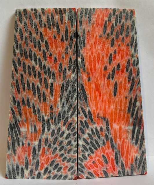 FOSSIL CORAL SCALES            4-3/4 X 1-3/4 X 1/4