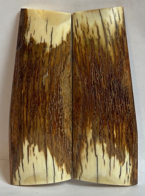  MAMMOTH IVORY SCALES         4 X 1-5/16 to 1-1/2 X 7/32